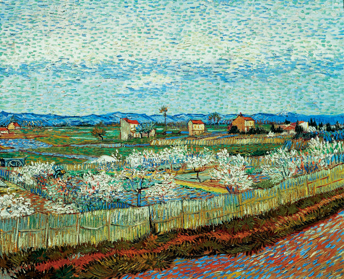  文森特·威廉·梵高  Vincent Willen Van Gogh —— 盛开的桃树